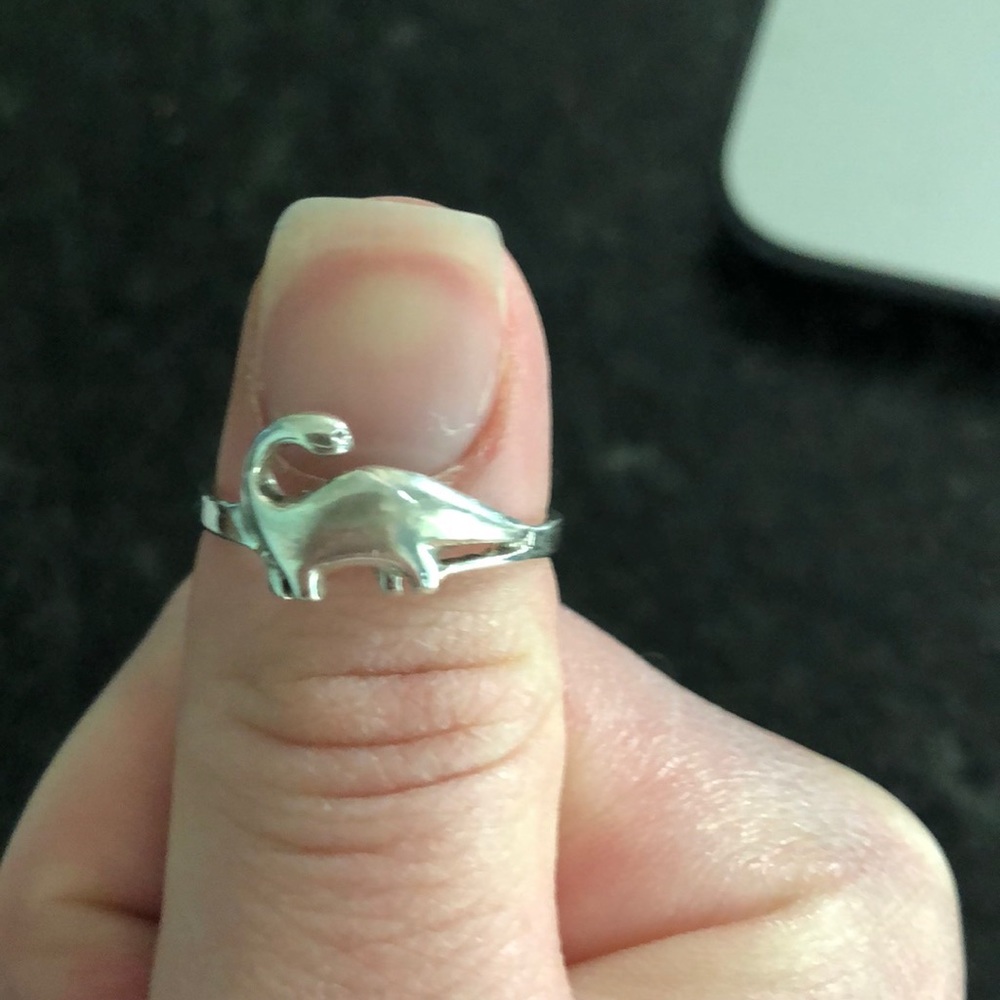 Dinosaur ring